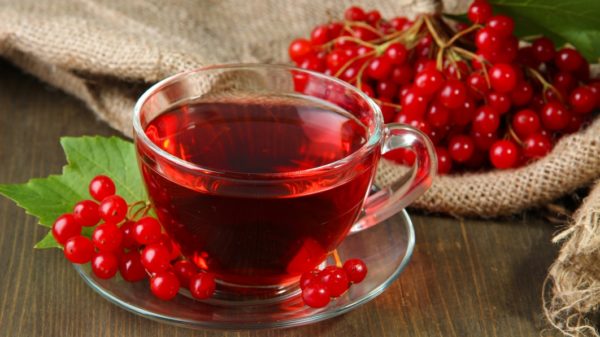 Настой калины и ее ягод в прозрачной чашке
