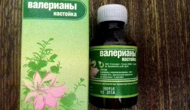 Настойка валерианы в аптеке Лечебные свойства валерианы