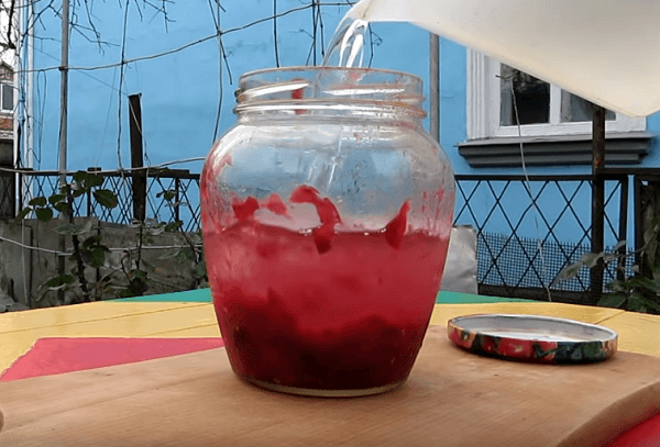 Залить чернику водкой