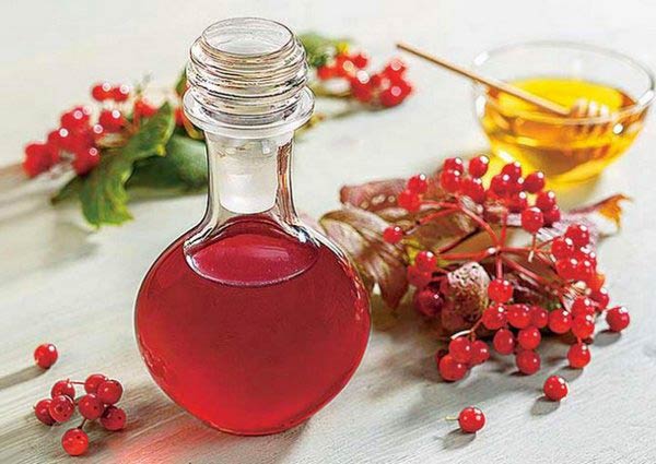 настойка на калине с медом