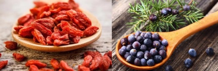Настой на кизиле с ягодами можжевельника