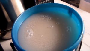 Брага из березового сока