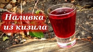 Домашнее вино из кизила – рецепт и технология приготовления