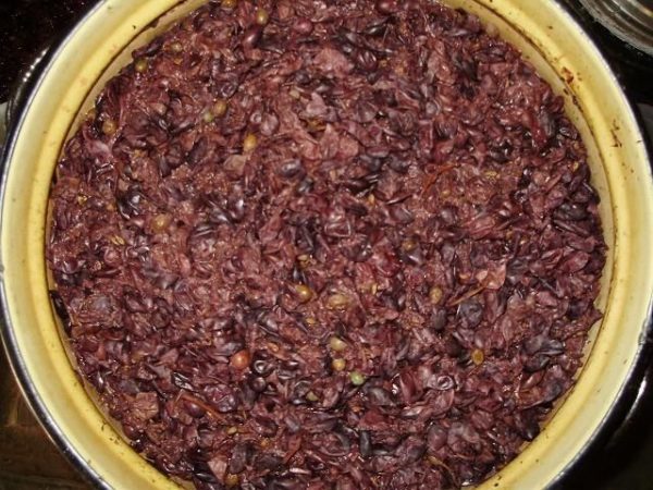 Второе вино из жмыха (мезги) винограда или яблок – рецепт