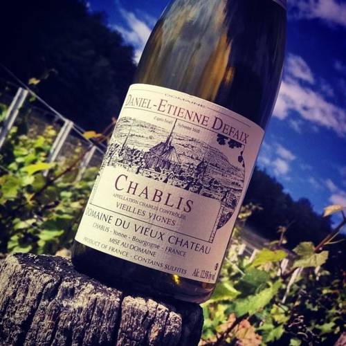 Вина Шабли (chablis) – особенности, категории, правила подачи