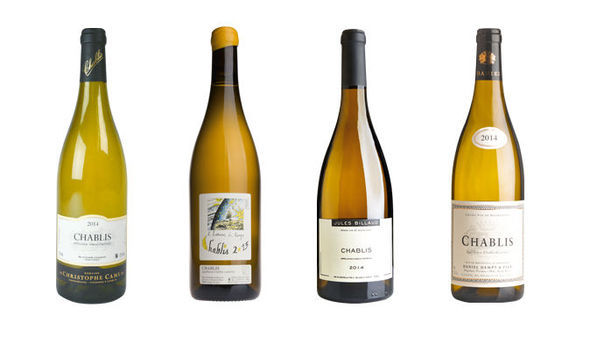 Вина Шабли (chablis) – особенности, категории, правила подачи