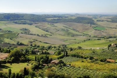 Вино Брунелло ди Монтальчино: особенности и культура пития