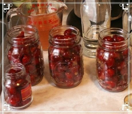 Вино из вишни с косточками в домашних условиях: простой рецепт