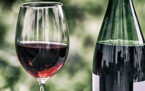Вино «Пино нуар (pinot noir)» – особенности и культура употребления