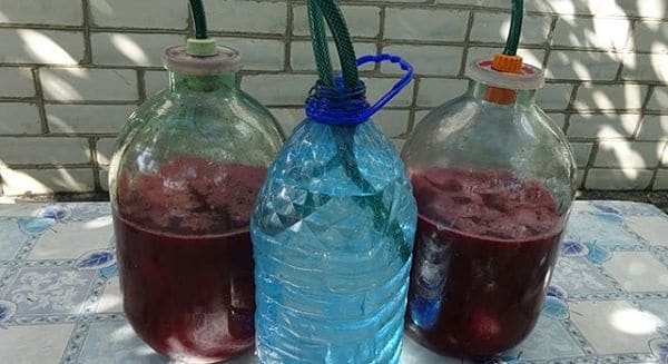 Самогон из компота